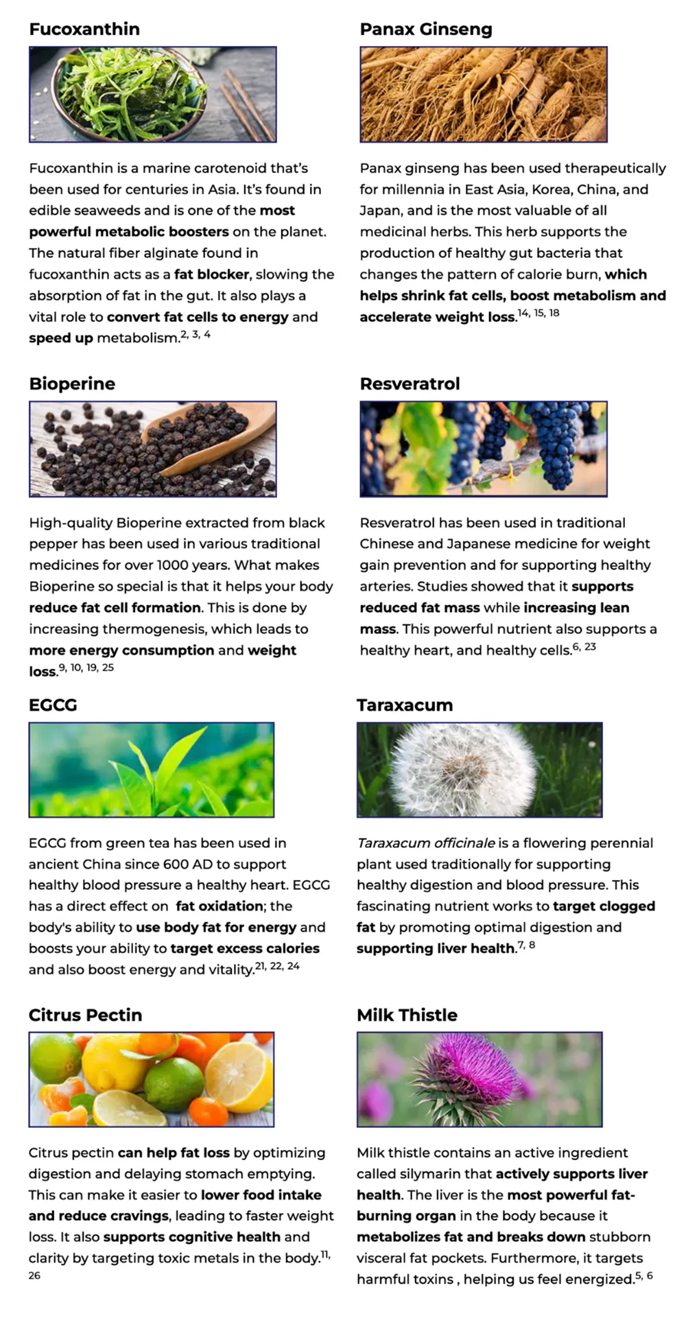 Ikaria Lean Belly Juice Key Ingredients and Science (What Matters and What Doesn't)