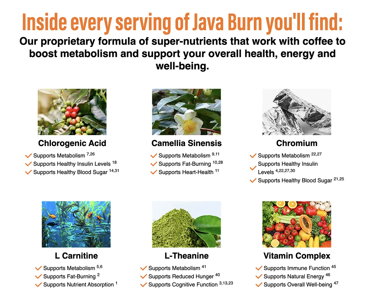 java burn coffee ingredients
